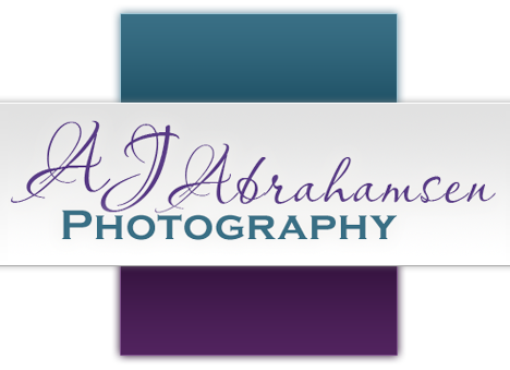 AJ Abrahamsen Photography - Commercial and Fine Art Photography